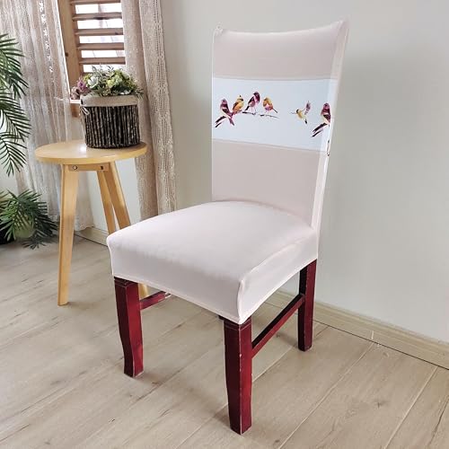 Image of House of Quirk Elastic Chair Cover Stretch Removable Washable Short Dining Chair Cover Protector Seat Slipcover (Pack of 6, Beige Bird)