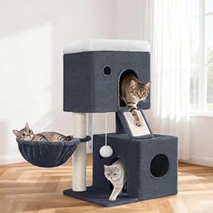 Fobyfurny Kratzbaum, 82 cm Kratzbaum für Wohnungskatzen, Mehrstöckiger Katzenturm mit 2 Gemütlichen Höhlen, 1 Plattformen, Korb, Sisal-Kratzbaum, Kratzbretter Katze, Pompons, Dunkelgrau FPMS002FG2