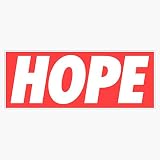 Hope Vinyl Waterproof Sticker Decal Car Laptop Wall Window Bumper Sticker 5'