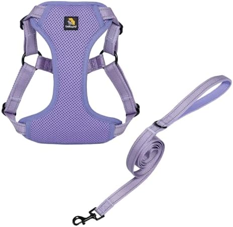 BELLA & PAL Step-in Dog Harness, Dog Harness and Leash Set for Extra Small Dogs, Breathable Soft Mesh Puppy Harness, Lightweight Adjustable Dog Harness for Extra-Small/Small/Medium Dogs, Blue, XS