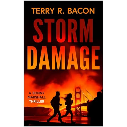 Storm Damage Audiolibro Por Terry Bacon arte de portada