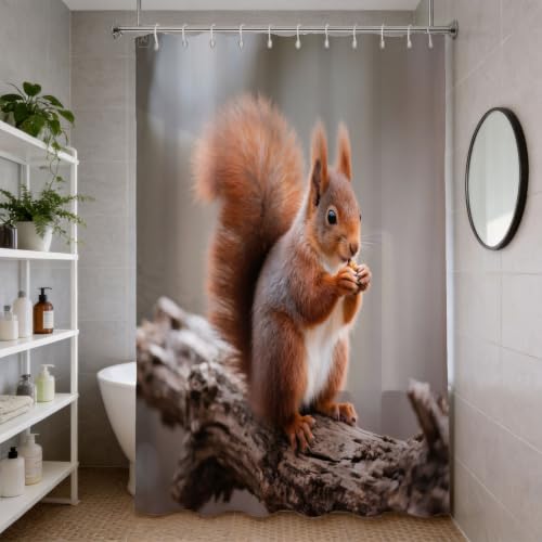 Rideau de douche 200x200 écureuil en polyester imperméable pour baignoire - 4