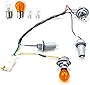 HOPUT 92450-3Q000 92450 3q000 Tail Lamp Holder and Wiring with 8 Halogen Bulbs, Compatible with Hyundai Sonata 2011 2012 2013 2014, Exterior, Rear (Pack of 1)