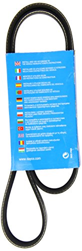 Dayco 6pk1155 cinghia poly-v citroen berlingo