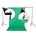 Kshioe Background Support System, Green Screen Kit, 1350W 5500K Umbrella Continuous Lighting Kit for Photo Studio Product, Portrait and Video Shoot Photography