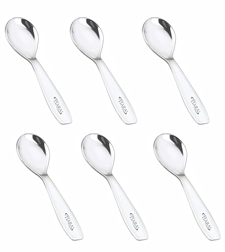 TIARA 6Pc Masala Spoon Heavy Guage Stainless Steel Small Spoon Mini Spoon for Masala Containers Spoon Set for Home/Kitchen Length 8cm (6Pc)