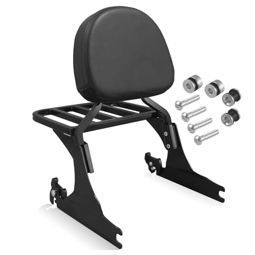 NOVALLA Passenger Backrest Sissy Bar with Luggage Rack Fit 200mm Fender Compatible with Harley Softail Fat Boy Night Train 2006-2017 (Black)
