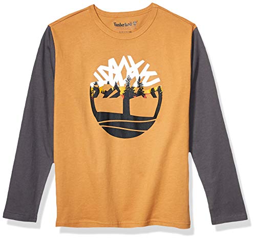 Timberland Boys' Big Long Sleeve Colorblock Heathered Tee Shirt, Wheat, M10/12