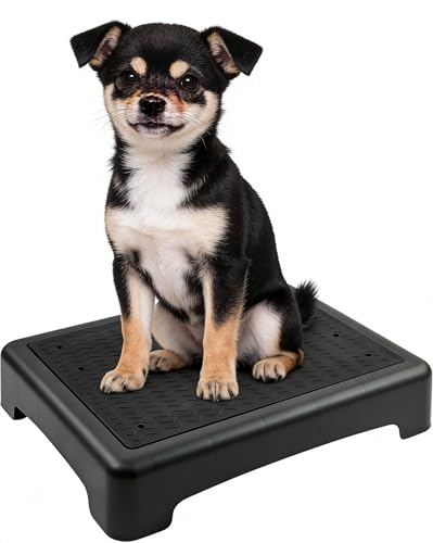 YEXEXINM Dog Training Place Board with Non-Skid Surface Dog Platform for Training Portable Dog Agility Platform Dog Training Stand Dog Training Equipment Suitable for Small Dogs 17x13x3.14Inch