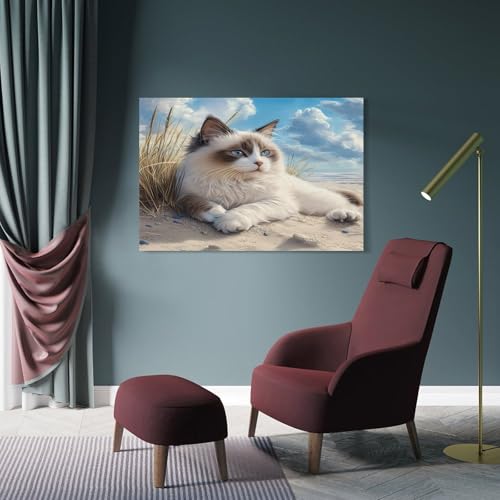 Ragdoll chat impression sur toile affiche decoration murale 50x75