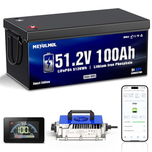 MEYULMOL 48V 100Ah Golf Cart Battery
