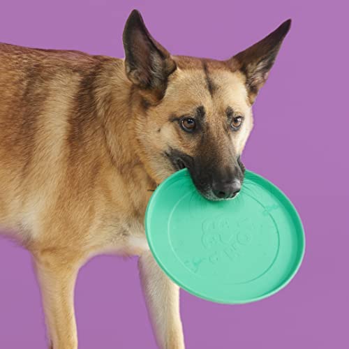 FetchFlyer Dog Frisbee Toy – Interactive Outdoor Fetch Toy Designed for Safe Pet Play, Made from Textured & Non-Toxic Silicone – for Soft and Medium Chewers FetchFlyer Dog Frisbee Toy – Interactive Outdoor Fetch Toy Designed for Safe Pet Play, Made from Textured & Non-Toxic Silicone – for Soft and Medium Chewers