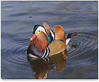 ENEVOTX Wall Art Painting Mandarin Duck X China Water Lake Tourism A Prints On Canvas The Picture Landscape Pictures Oil for Home Modern Decoration Print Decor for Living Room