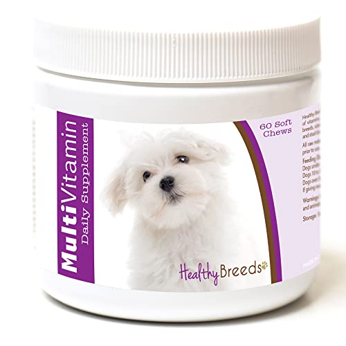 10 Best Vitamins For Maltese Dog