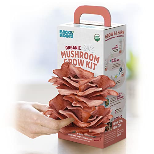 Back To The Roots Organic Mushroom Grow Kit - Oyster And Pink Mushroom 2-Pack Variety - Indoor Non-Gmo Growing Kit - Produces 3-4 Servings And Grows In 10 Days #TOP2
