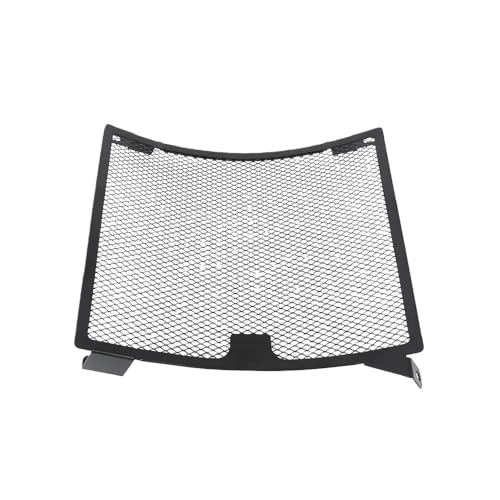 Grille de radiateur moto RS 660 idéale pour balades sur route