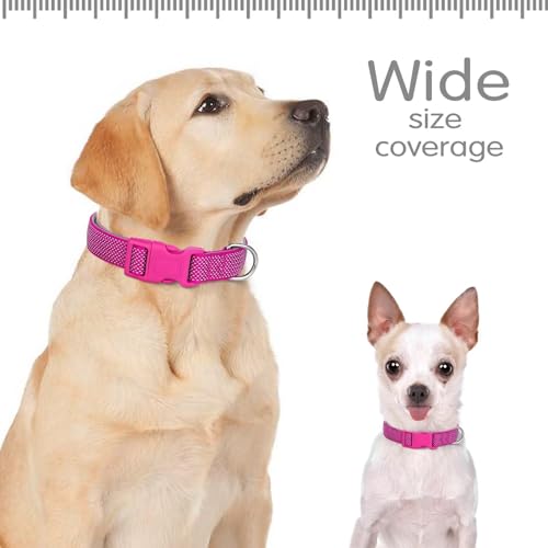 Didog Reflektierendes Hundehalsband mit Schnalle, verstellbar, weiches Neopren, gepolstert, Nylon, Haustierhalsbänder für kleine, mittelgroße und große Hunde, Hot Pink, S