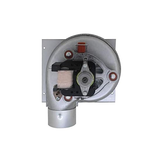 Ventilador caldera biomasa 220v extractor radial ventilador centrifugo estufa pellets extractor humos chimenea industrial