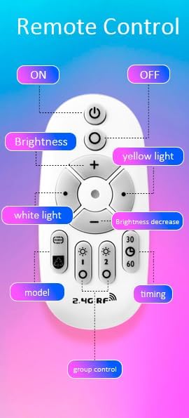 LEONC Floor Lamp RGB+CCT 4-Zone Remote Controller for Color Temperature Adjustable LED Lamps and Strip Light, (Battery Not Included)