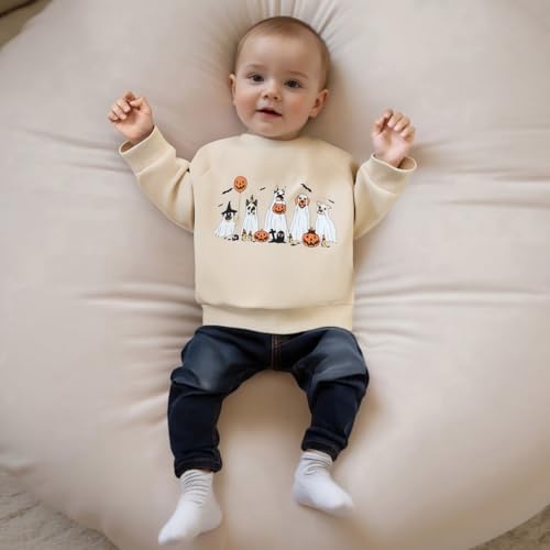 Toddler Baby Boy Halloween Outfit Pumpkin Ghost Print Sweatshirt Long Sleeve Tops Pullover Cute Fall Winter Clothes2