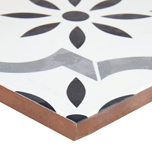 Msi AMZ-PT-00100 Azila 8 Inch X 8 Inch Encaustic Matte Porcelain Wall Tile For Bathroom, Floor Tile thumb #7