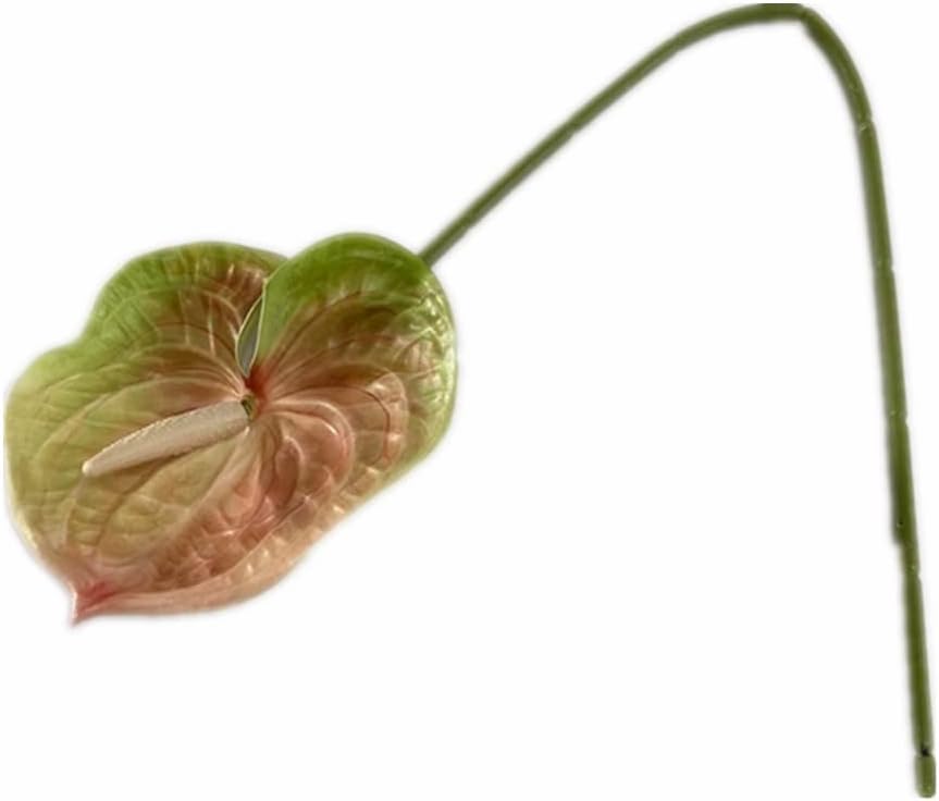 8pcs Artificial Anthurium Flower Branch 60cm 3D Printing Effect Faux Real Touch Single Stem per Piece Anthurium for Home Table Floral Decoration (chamapgne with Ligth Green)