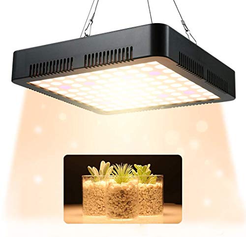 Newest LED Plant Grow Light 1000W Full Spectrum 3500k Sunlike Plant Light Dual-Chip with ON/Off Switch for Indoor Plants for Seedling, Succulents, Growing, Blooming and Fruiting(100pcs 10W LED)