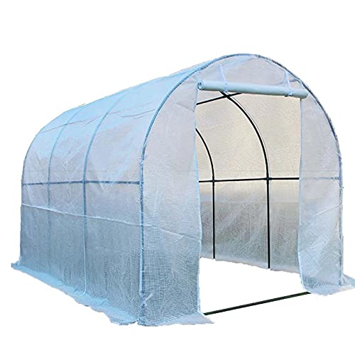 invernaderos huerto grandes Fuera de Casa verde con marco de metal resistente, Grande Caminar en invernadero Polytunnel 2m / 3m / 4m / 5m / 6m de largo, Planta de jardín invernadero de tomate invernad