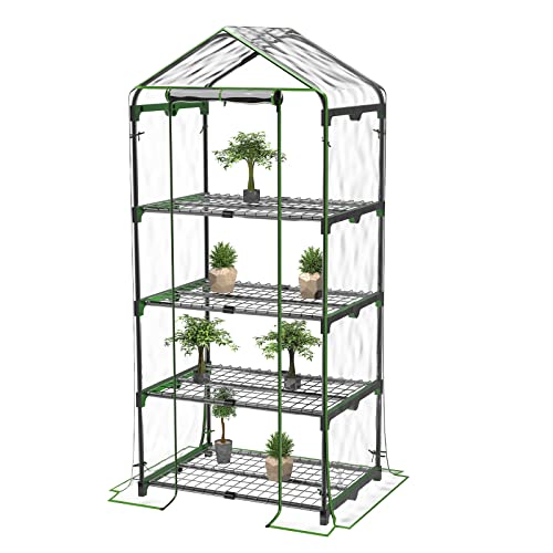 BLUU Small Plant Greenhouses Kit Outdoor Indoor with 4 Tiers Shelves