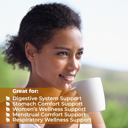 Image of 50 Bags Dried Anise Seeds Anaise Seeds Herb Tea (Pimpinella Anisum) - 50 Count 1,5 g Bags Anise Seed Herbal Tea Semilass De Anis