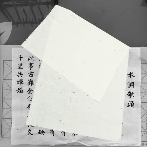 Papel de arroz chino para pintura tradicional con absorción lenta y textura ligera 5