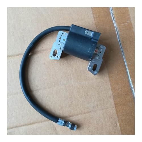 Bobine d'allumage haute tension compatible 790817 étincelle stable pour moteur thermique