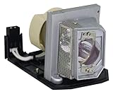 All'interno della lampadina sono montati stoppini di alta qualità for produrre una maggiore luminosità, garantendo una buona qualità dell'immagine e migliori effetti visivi.