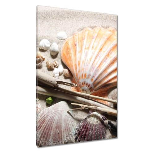 Coquillages de la plage sur grande toile pour un intérieur serein