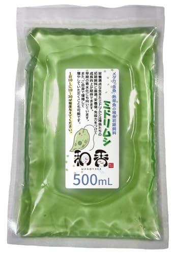 和香 ミドリムシ ユーグレナ 500ml メダカ 稚魚 グリーンウォーター ゾウリムシ 夏休み 自由研究 栄養価