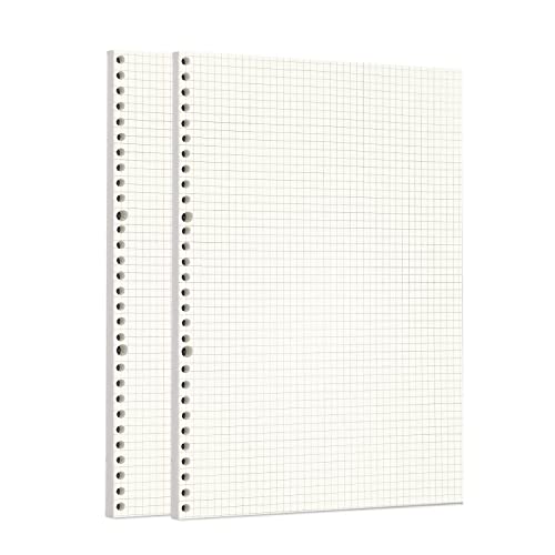 Image of Zelten Loose Leaf Punched Paper Refills Paper for 6 Hole Binder Personal Organizer Diary Notebook Refillable Planner (Squared,A4 /30 Hole)