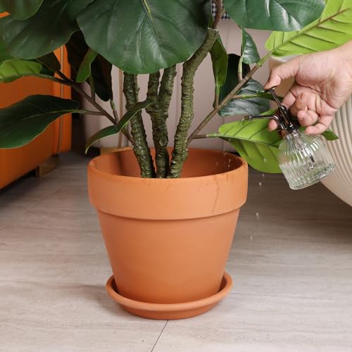 INGOFIN Terracotta Pot with Saucer - 10 Inch Ceramic Clay Pot for Plants with Drainage Hole, Terra Cotta Pot with Tray for Indoor Outdoor Plants - Thumbnail 6