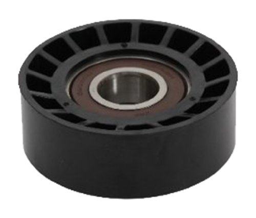 Japanparts RP-H06 Polea inversión/guía, correa poli V