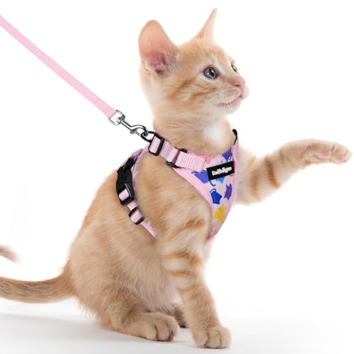 Image of rabbitgoo Cat Harness and Leash Set, Escape Proof Vest, Purrty Pink | Soft Breathable Mesh, Easy Adjustable Fit, Snap Buckles, Sturdy Clip, Reflective Strips, for Kittens & Small Cats Walks, Xxs