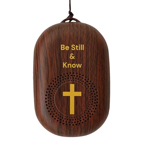 WayBeStill KJV Audio Bible Player Portable microSD Audio Player Speakers King James Version Talking Electronic Bible Portable Bible Player Device New & Old Testament Gifts for Seniors Brown