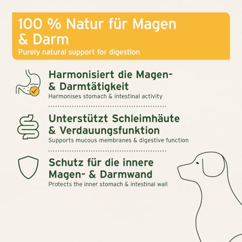 AniForte Amerikanische Ulmenrinde Pulver für Hunde & Katzen 100g - bei Sodbrennen, Magensäure, Durchfall & Erbrechen, für Magenschutz, Darmflora & sanfte Darmkur, Slippery Elm Bark