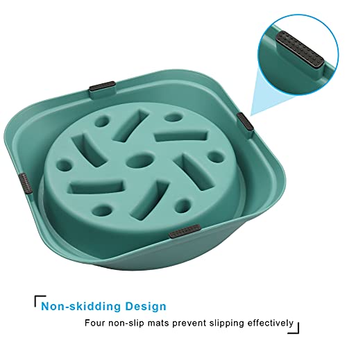 https://m.media-amazon.com/images/I/419c6Q-Q2mL._SL500_.jpg