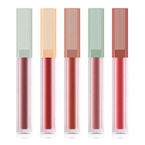 5 Colors Liquid Lipstick, Mirror Moisturizing Hydrating Lip Glaze LipGloss Soft Fog Velvet Lip Glaze for Women Girls