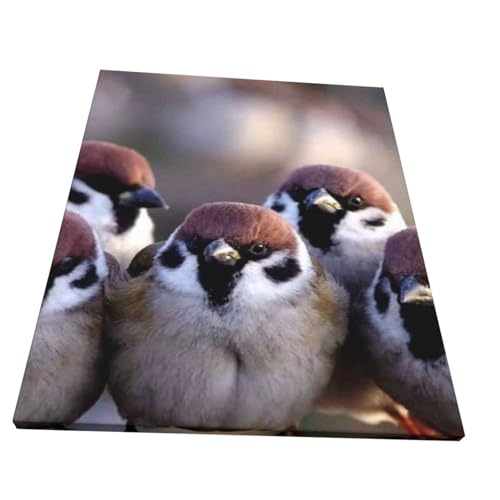 A[gplǊ| 킢 2 ?Ǒ?z _ |X^[  k|X^[ \t@wiAoX[N̗ǂ|[`Aؐt[free Size