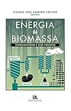  Energia da biomassa : termoconversão e seus produtos (Portuguese Edition)
