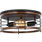 Close To Ceiling Lights, 13 inches 2 Lights Flush Mount Ceiling Light Fixture, Cylindrical Metal...