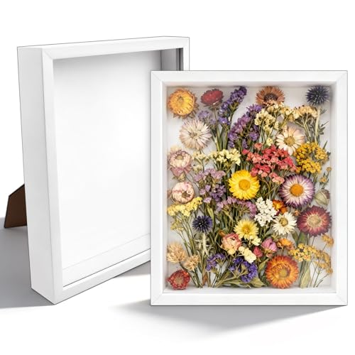 VOKOY 2 Pack 8" x 10" Shadow Box Frame, Wooden White Hollow Photo Frame with Clear Acrylic Front Memory Display Cases Picture Frames Bulk for Photos Awards Medals Dried Flowers Seashell Memorabilia