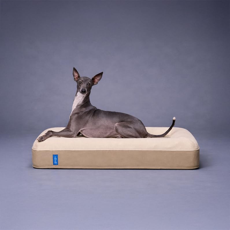 Amazon | グーグースリープ 犬 ペット ベッド スモール ベージュ gugu
