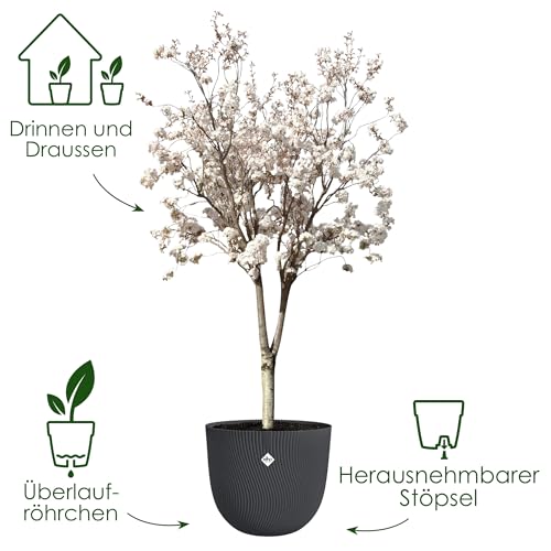 elho Sereh Rund 47cm Blumentopf - Anthracite – Ansicht 2