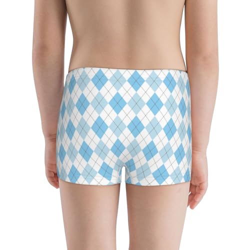 Boys' Cotton Boxer Brief Soft Underwear-Blue And White Squares3